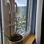 Gruppenhaus Mit Grillkota Fuer 16 Personen In Hahnenklee Casa vacanze Goslar