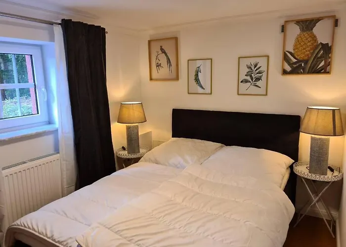 Gruppenhaus Mit Grillkota Fuer 16 Personen In Hahnenklee Holiday home